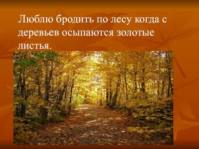 Люди гуляют в парке. Я люблю бродить осенью по лесу. Осень одинокий. Осень асфальт. Осенняя прогулка.