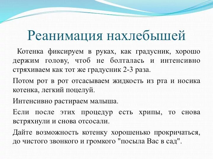 Как реанимировать котенка