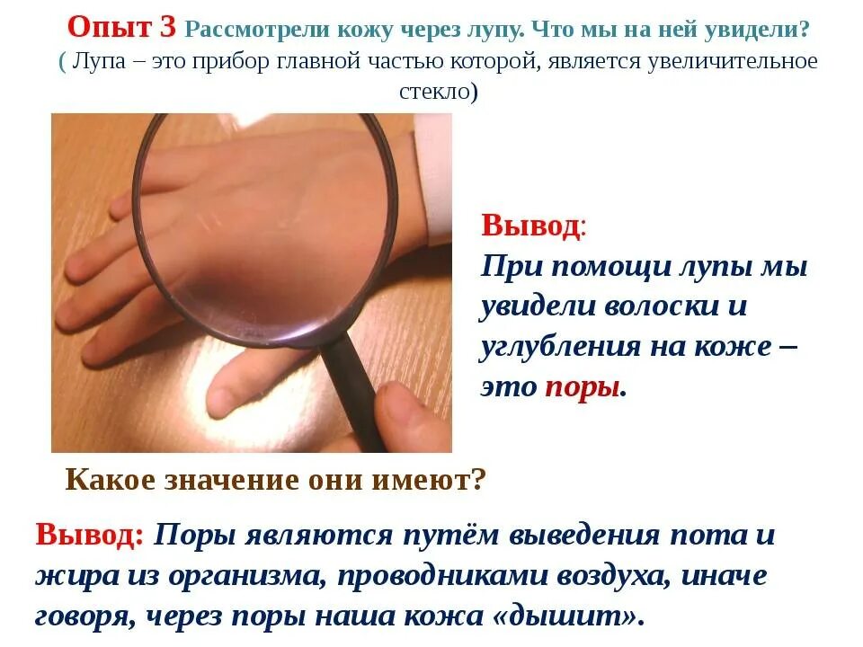 Кожа не только защищает организм от внешнего. Кожа надежная защита организма. презентация исследуем нашу кожу. сообщение на тему надёжная защита организма. надежная защита организма 3 класс.
