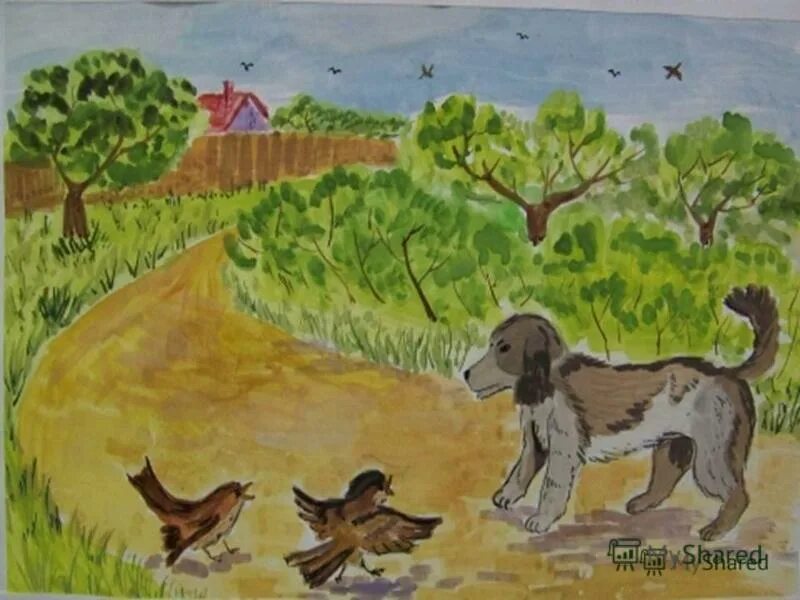 иван тургенев воробей иллюстрации. тургенев воробей рисунок к рассказу. иван тургенев воробей. иллюстрация к рассказу воробей. иллюстрация к рассказу тургенева воробей.