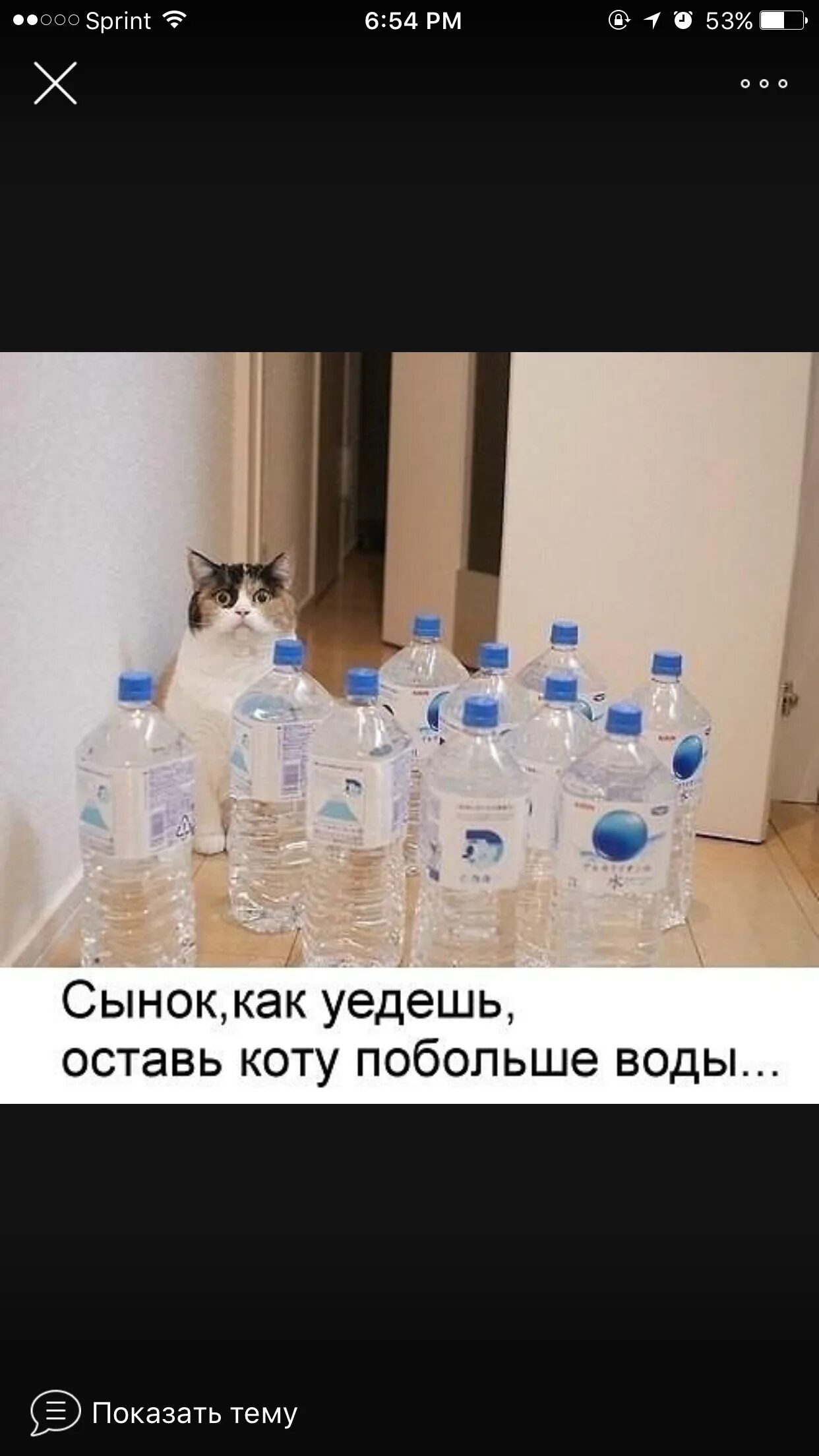 Уехал оставил сына. Оставил коту воды. Оставь коту побольше воды. Уедешь оставь коту побольше воды. Налей коту побольше воды.