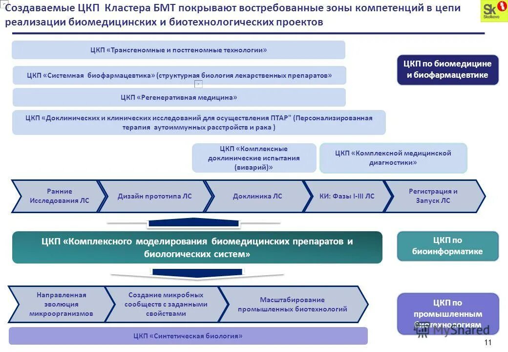 проект целевой комплексной программы