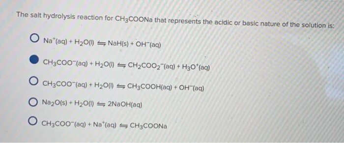 Гидролиз coona. Hydrolysis of Salts. Ch3coona Koh. Ch3coona Константа. Ch3coona h2o электролиз.