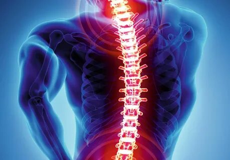 Spine back pain 