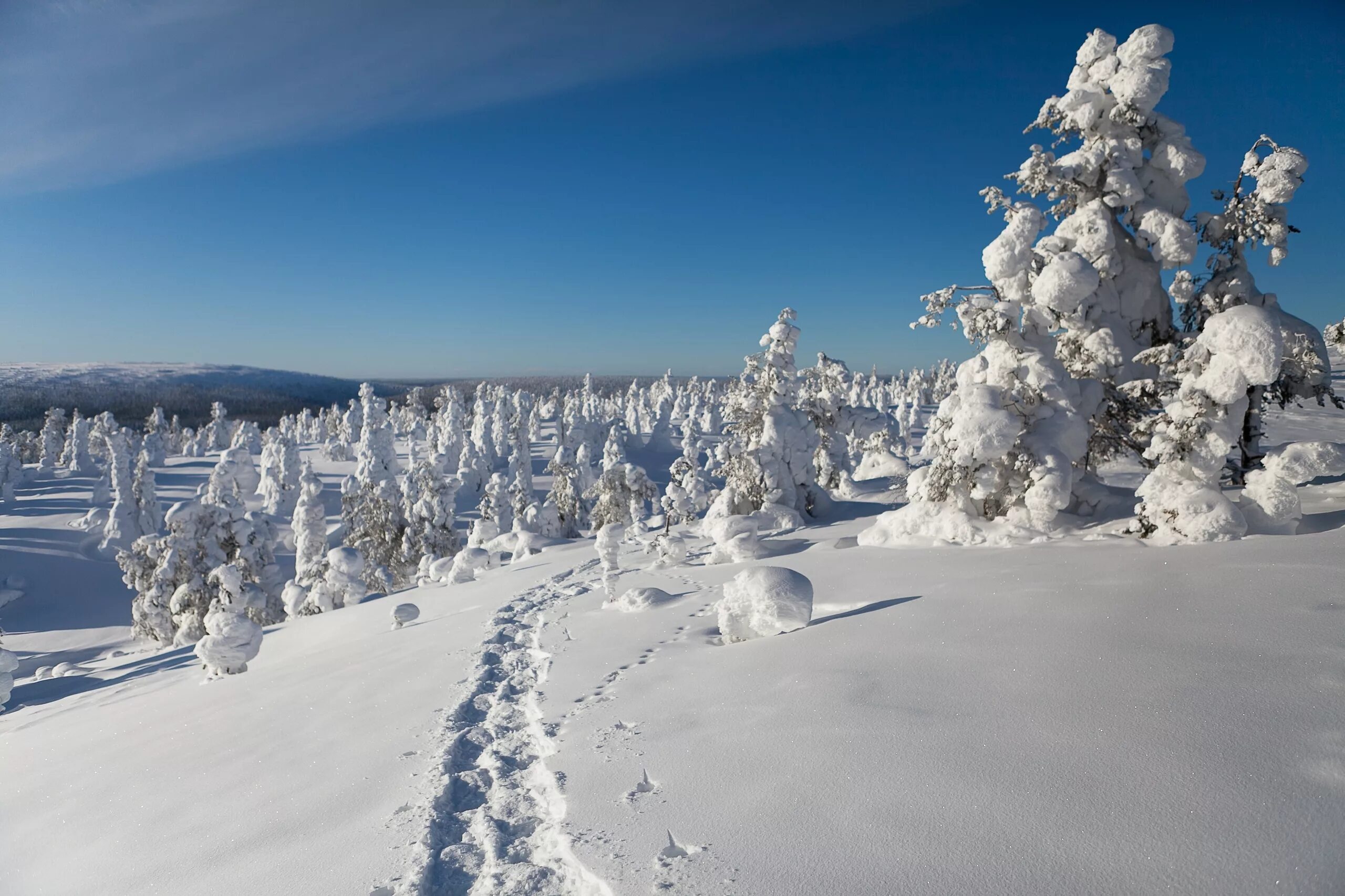 Финляндия январь. Лапландия Финляндия. Лапландия Финляндия природа. Финляндия зимой. Финляндия природа зимой.