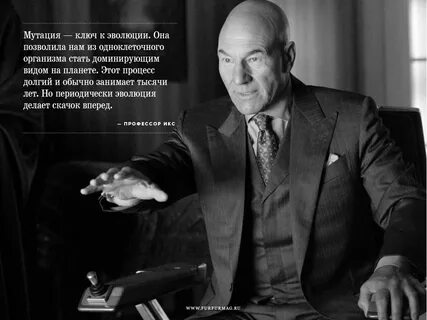 Поставь скачков