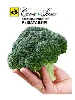 Семена капусты брокколи