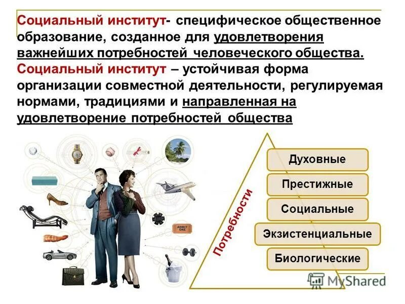 тема публичные институты