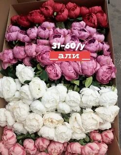 Садовода 31