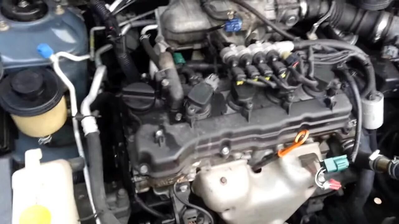Масло в двигатель ниссан примера р12 какое Готовлюсь к ТО Nissan Primera (P12), 1,8 л, 2005 года запчасти DRIVE2