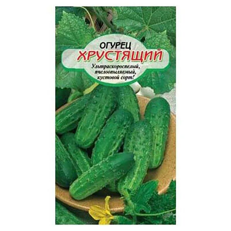 Сорта хрустящих огурцов. Сорта хрустящих огурцов. Огурец хрустящая грядка f1. Сорта хрустящих огурцов. Огурец погребок f1.