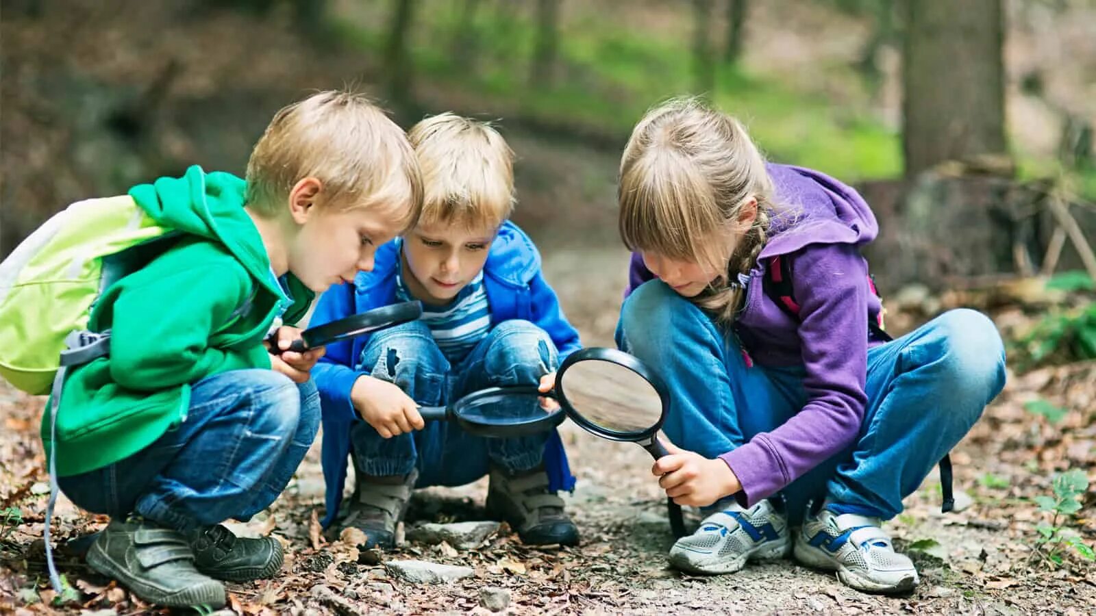 Дети и природа. LSNB YF ghbhjls. Школьники на природе. Ддетти наблюдают за природой. Наблюдать за тем где