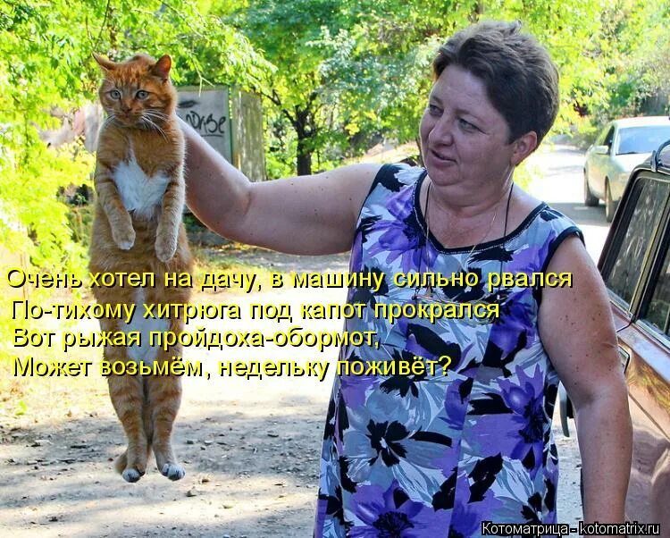 Красивые дачные домики. Садовый домик. Маленький домик для дачи. Очень хочу дачу. Хочется на дачу.