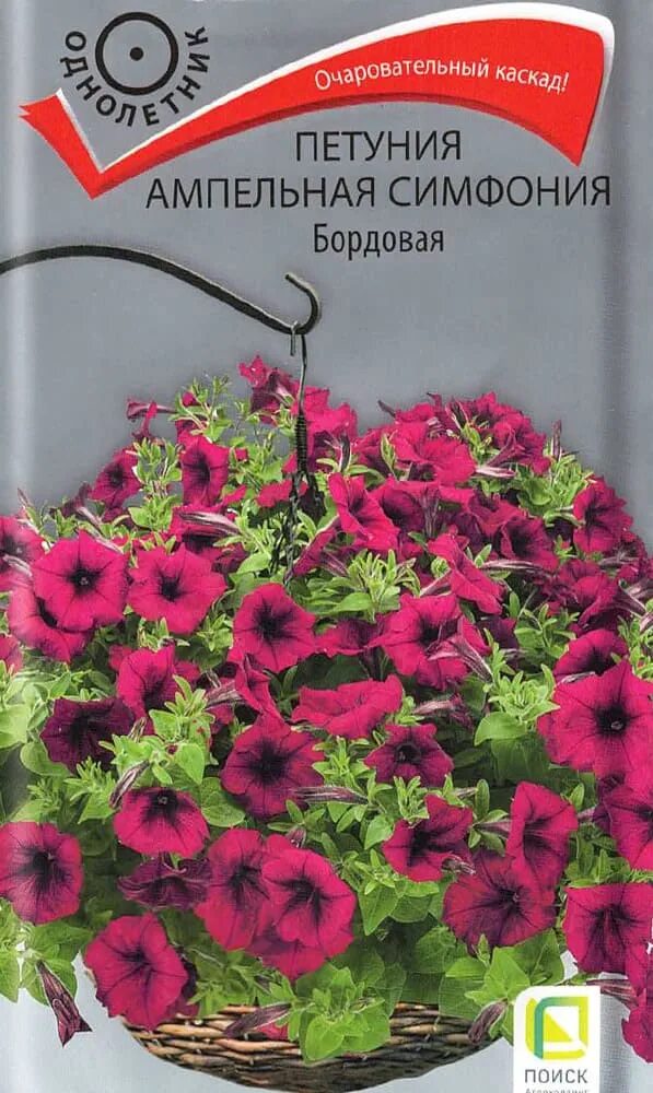 Петуния эклиптика f1 парпл гэлакси биотехника ц. Поиск симфония. Оркестр шуберта. Симфонический оркестр тихонов сергей. Малер симфония тысяч.