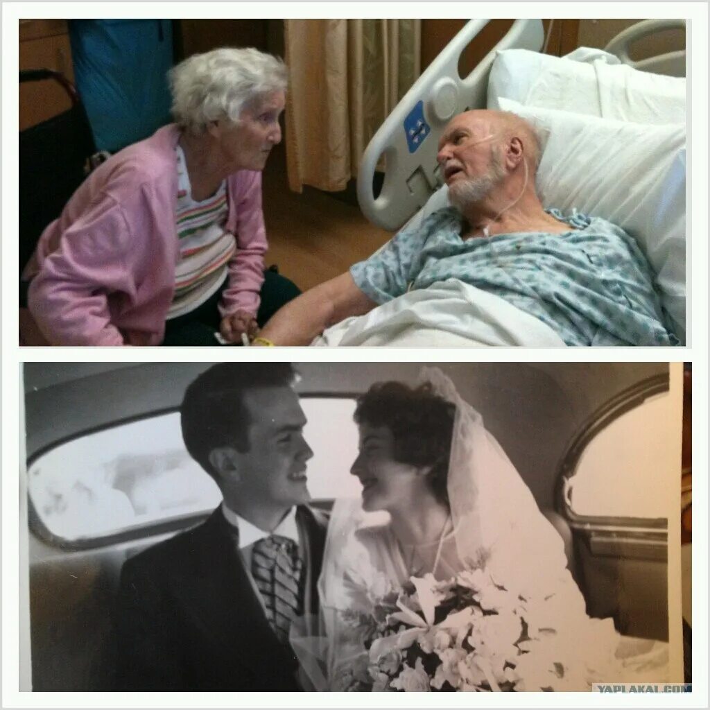 Живущие вместе видео. Жить вместе до старости. Любовь до старости. Пары которые прожили вместе всю жизнь. Старость вместе.