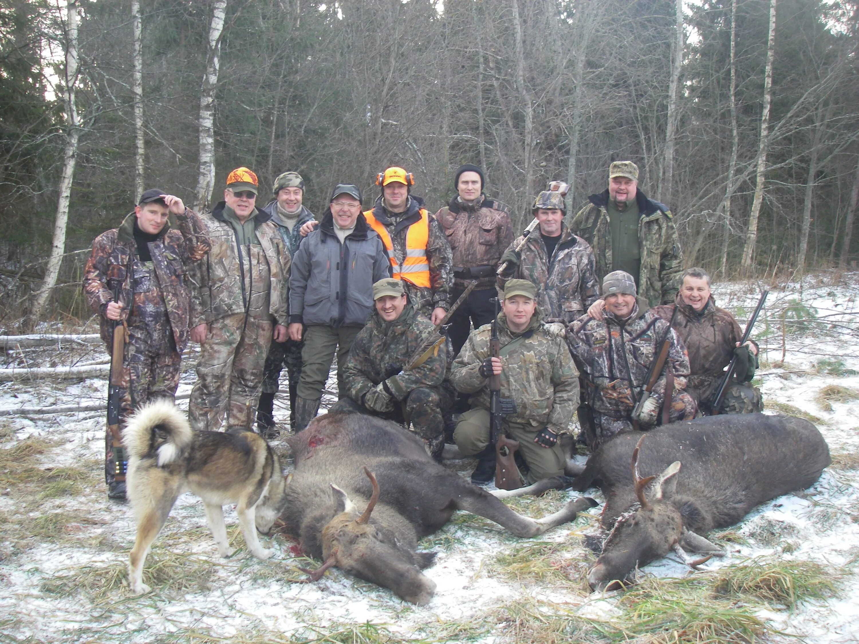 русская охота, ярославль, улица гагарина. охота в тверской области в в охотхозяйство королевская охота. охота ярославль. незаконная охота в ярославской области. кагаричи охотхозяйство.
