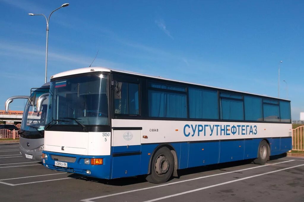 Автобус сортым
