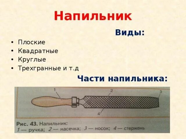 На чертеже изображен напильник с ручкой. Составные части напильника. составные части напильника по металлу. строение напильника. напильник чертеж.