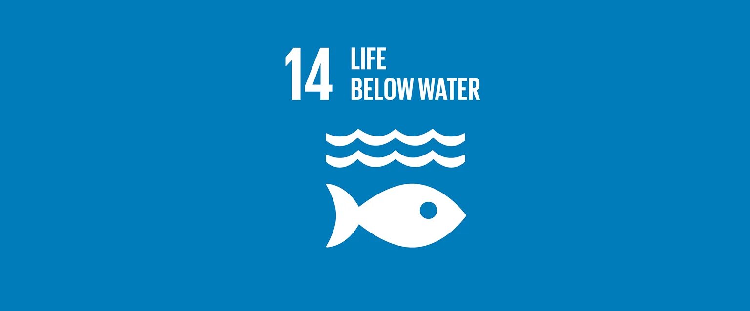 Life below Water. Life below Water SDG. SDG 14. SDG Life below Water photo.