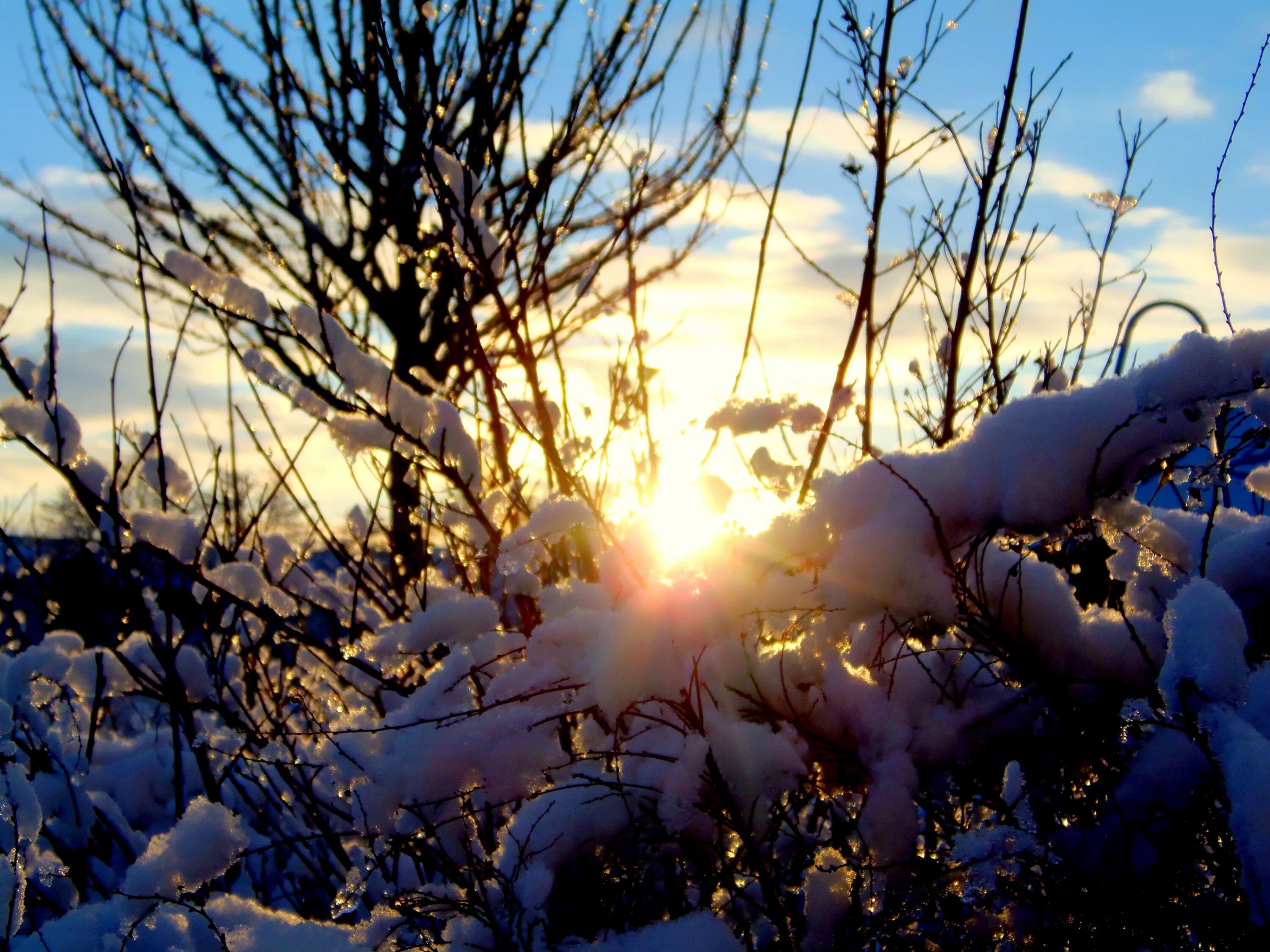 Доброе снежное мартовское утро. Солнце ранней весной. Морозное утро.