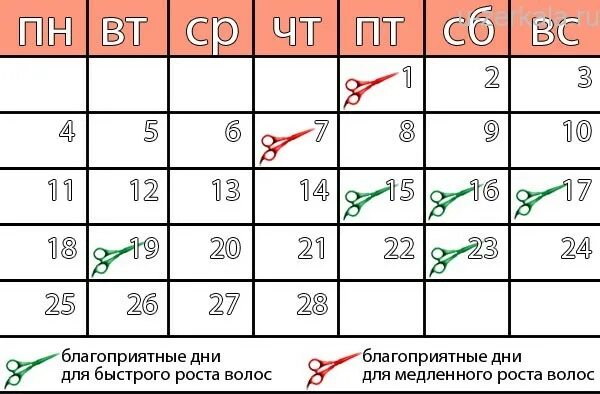 Благоприятные дни для стрижки ногтей. Благоприятные дни недели для стрижки волос. Лучшие дни для подстрижки ногтей. Благоприятные дни для стрижки для мужчин. Календарь 2024 когда можно стричься