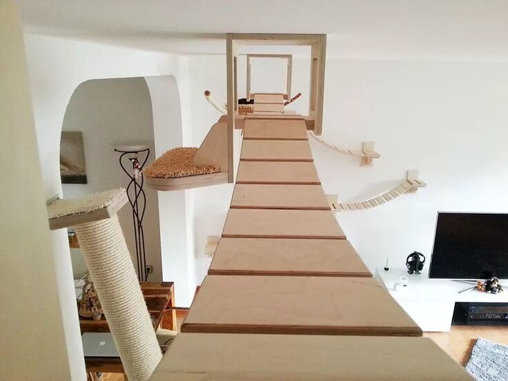 Cat playground