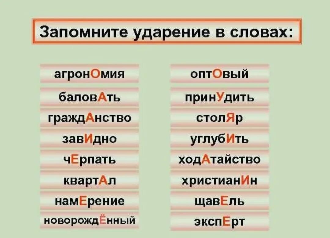 Ударение. Ударения в словах. Правильное ударение в словах. Поставьте правильное ударение в словах.