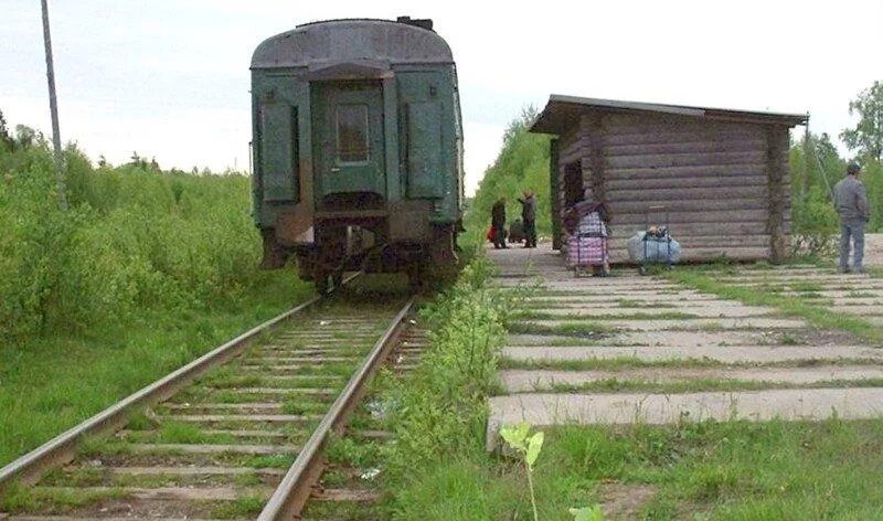 Железная дорога в деревне. Янгоры Архангельская область ЖД станция. Заонежская железная дорога. Ж.Д. Полустанок. Поезд в деревне.