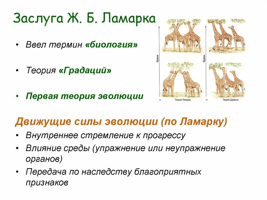 1 эволюционная теория ламарка. Теория эволюции Ламарка 9 класс. Презентация на тему эволюционная теория ж.б Ламарка. Теория Ламарка упражнение органов. Биология 11 класс теория Ламарка презентация.