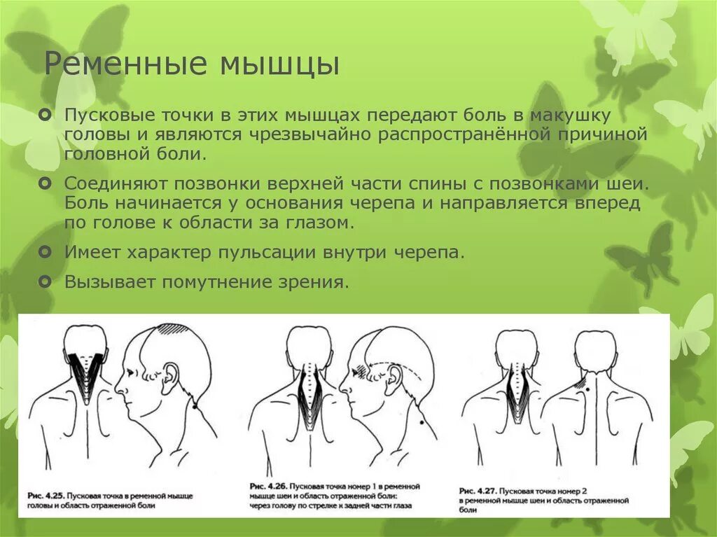 Почему болят волосы на макушке головы. Болит макушка головы. боль в макушке головы причины. болит макушка головы причины. ременная мышца головы и шеи боль.