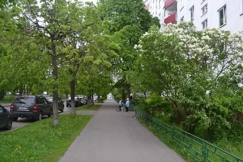 13 аллея