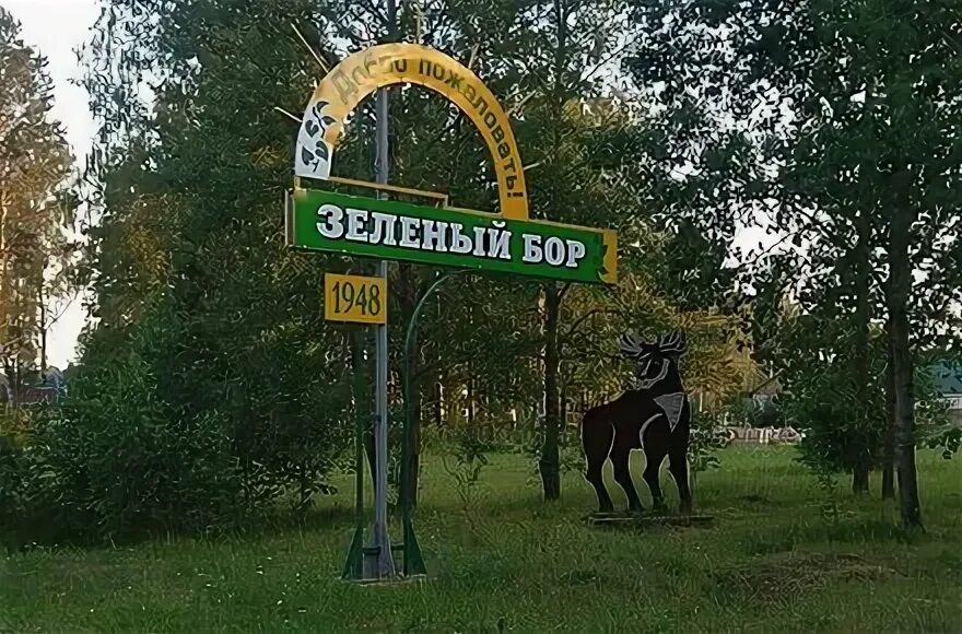 Зеленый бор часы работы. Зеленый бор часы работы