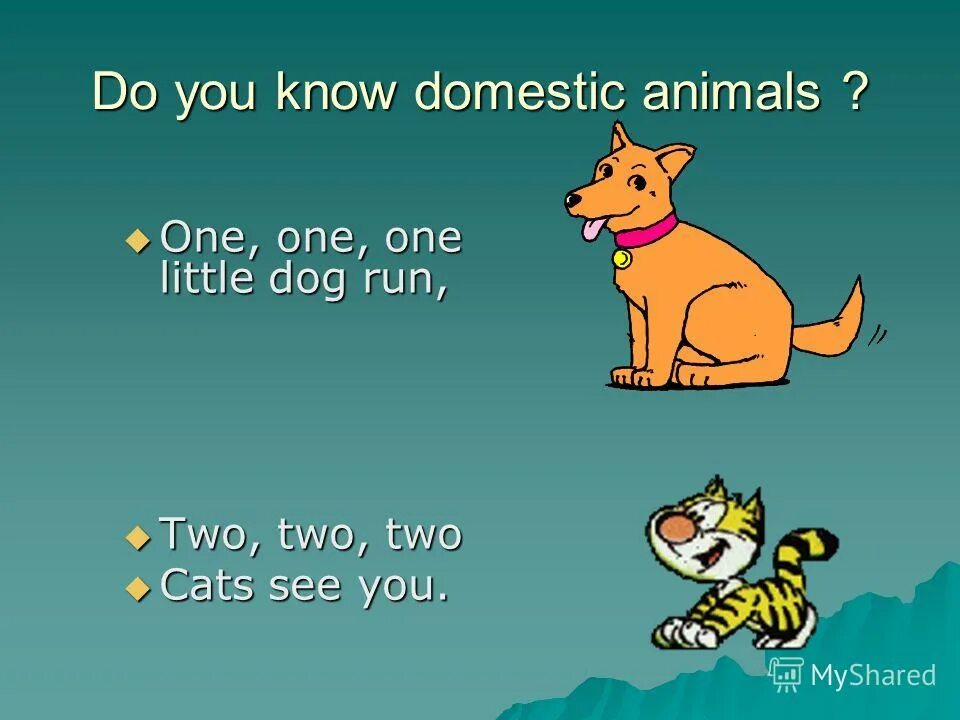стихи на английском языке для детей животные. Dog can run. A dog can run перевод на русский. Can dogs run ответ на английском. стих one one one little dog run.