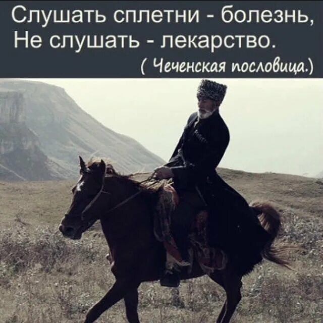 Цитаты со смыслом чеченские. Чеченские пословицы и поговорки. чеченские пословицы. чеченские пословицы на чеченском. чеченские поговорки.