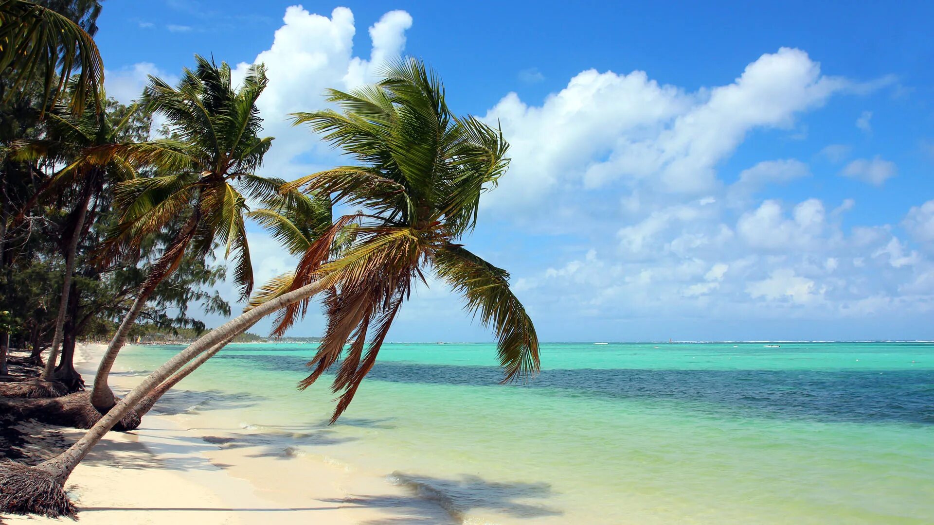 Карибское море остров саона. Карибское море атлантический океан. Карибы остров сан оноре. Доминикана море. Карибское море доминикана.