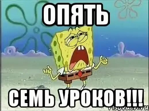 Опять 7
