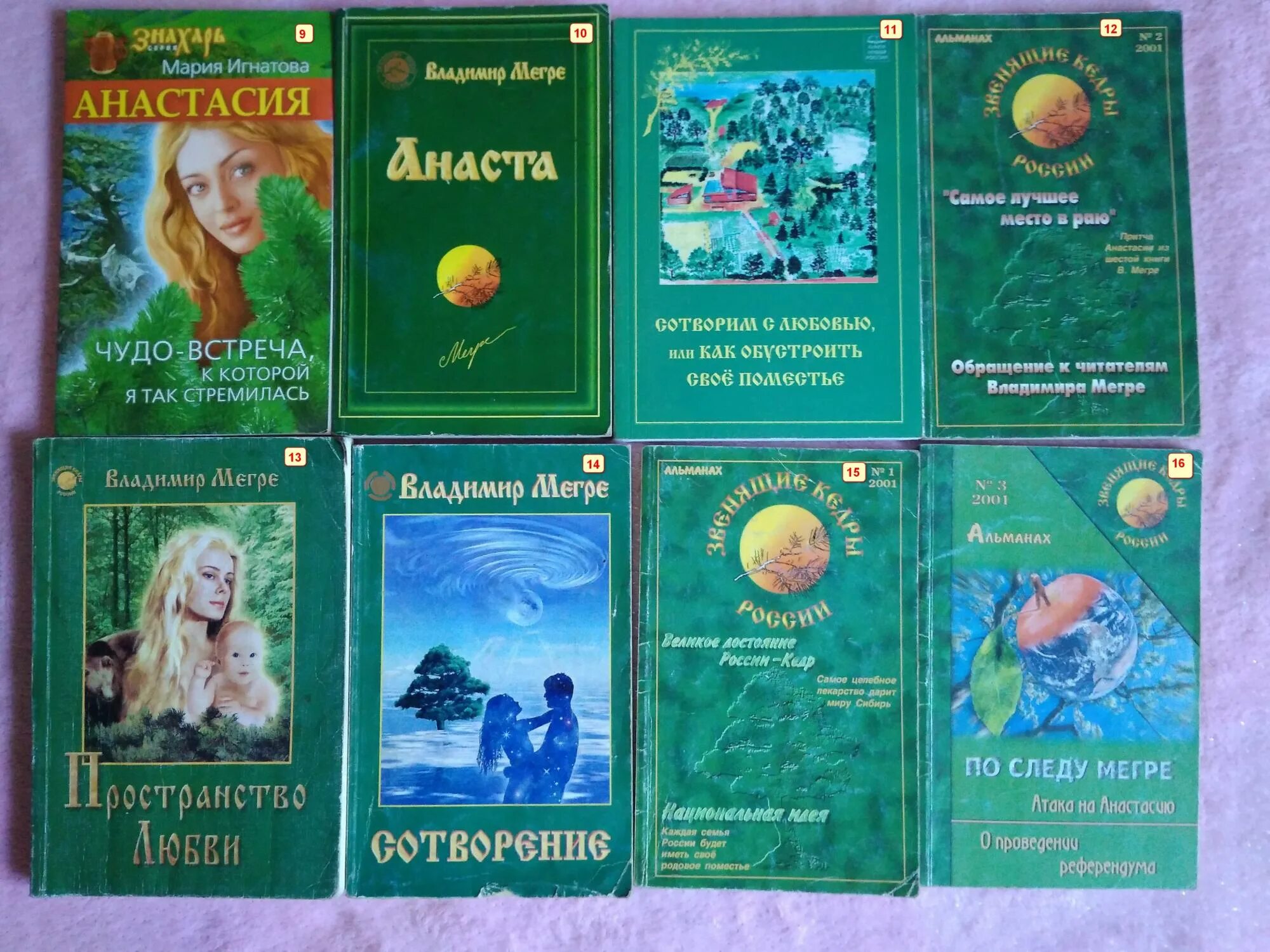 мегре владимир николаевич анастасия. анастасия книга мегре. мегре "анастасия". цикл анастасия мегре книга 2. анастасия мегре реальное фото.