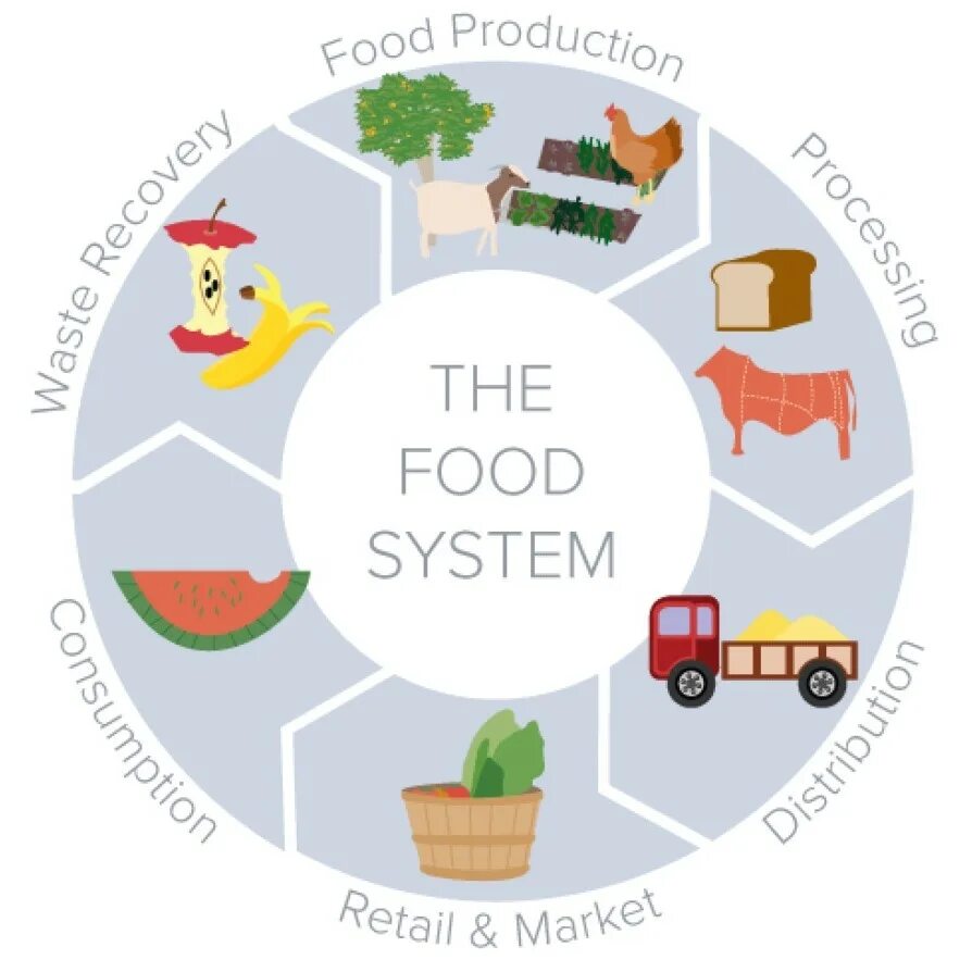 Система фуд. Экосистема логотип. Food System. Agriculture and food Systems. Gerchik trading ecosystem лого.