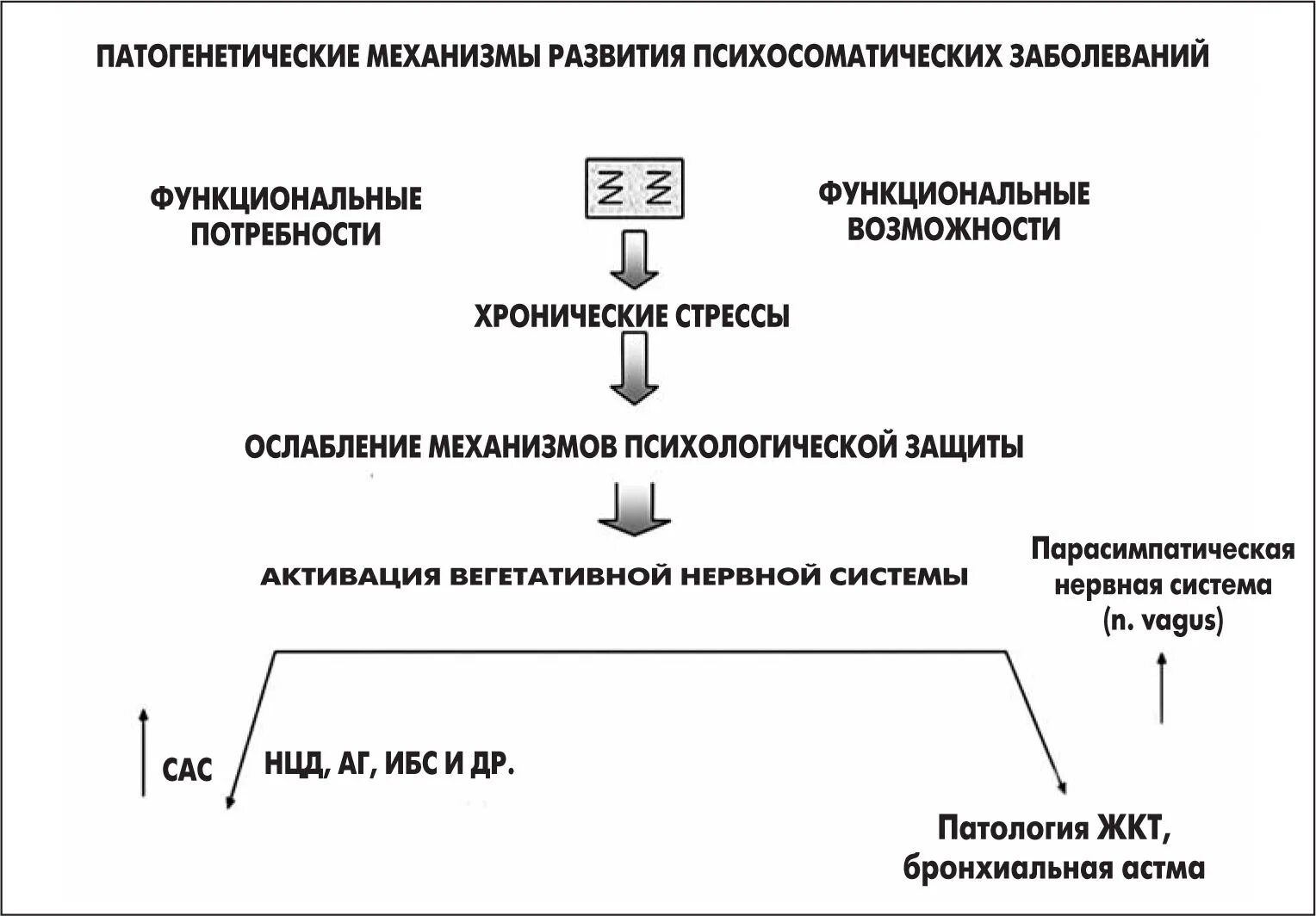 Патогенез психических заболеваний. Патогенез нейроциркуляторной дистонии. механизм развития психосоматических заболеваний. механизмы возникновения психосоматических заболеваний. патогенез психосоматических заболеваний.