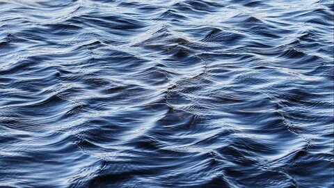 Водная полоса