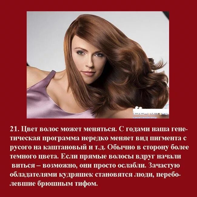 фразы выражения про волосы. цитаты про волосы. статус про волосы. цитаты про парикмахеров. высказывания про волосы.