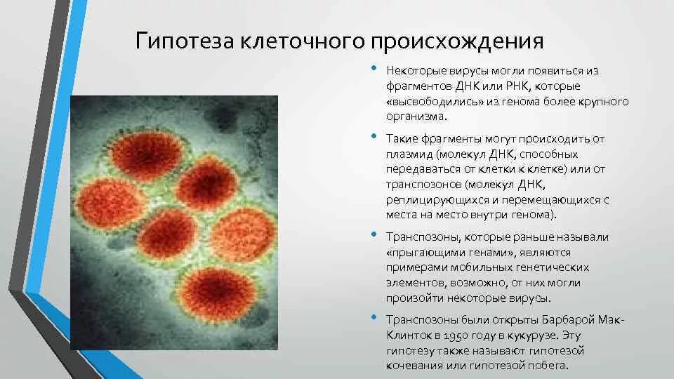 Возникновение клеточной формы жизни