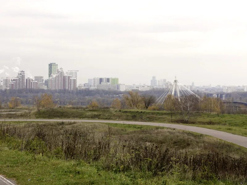 Природным парком москворецкий. Москворецкий (природно-исторический парк). Москворецкий парк Москва. Москворецкий лесопарк. Москворецкий парк в Строгино.