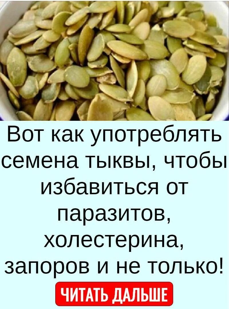 Можно собаке тыквенные семечки. Тыквенные семечки от паразитов. Семечки тыквы от глистов. Семена тыквы для волос. Кушать тыквенные семечки полезно.