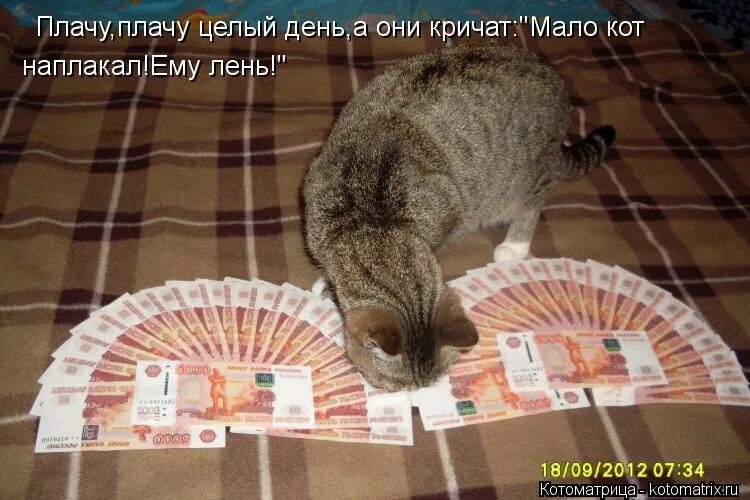 глаз плакать полезно для глаз. алексей баталов и вера алентова москва слезам не верит. усталость и одиночество. плачу целыми днями. что будет если плакать.