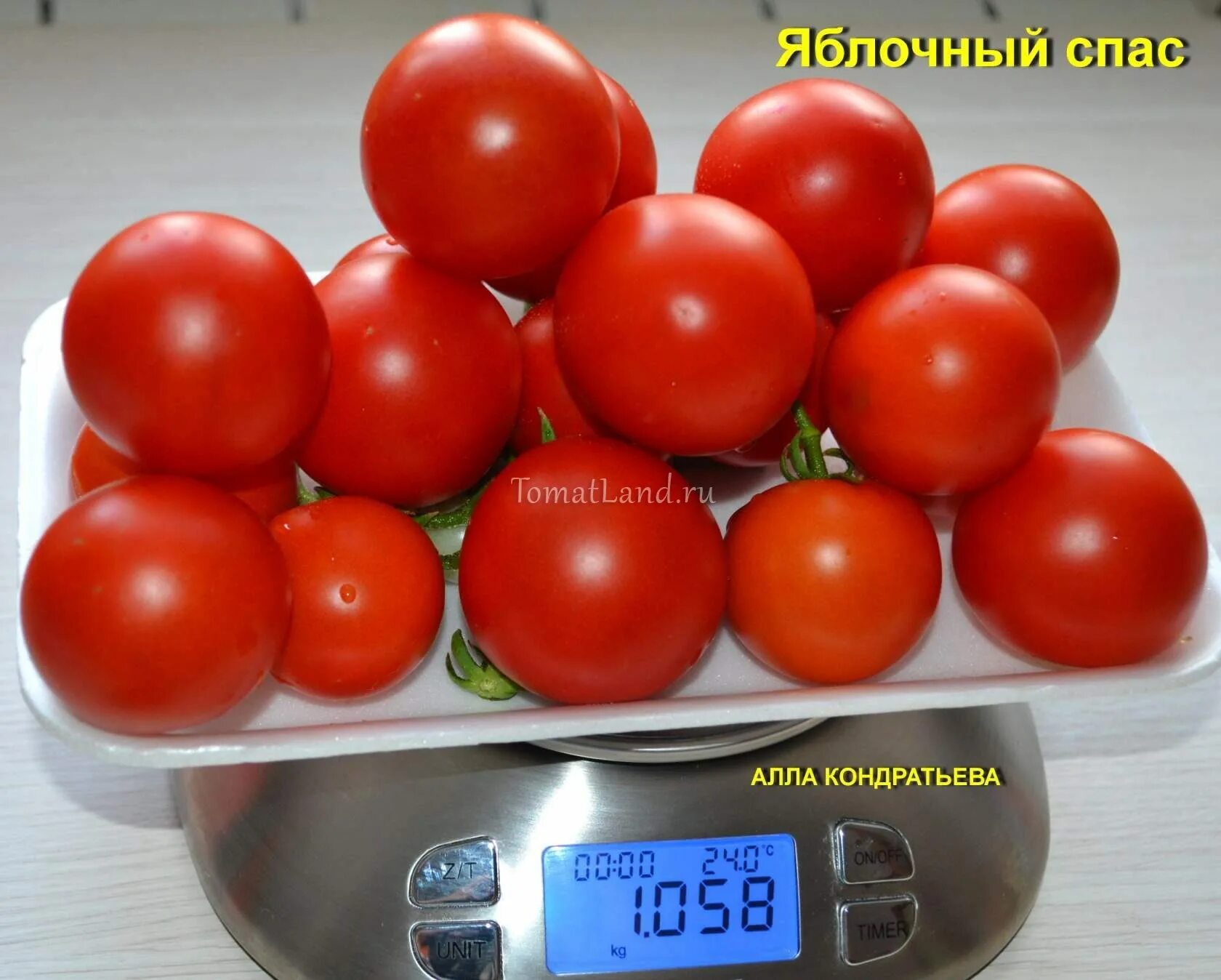 Томаты яблочные описание сорта