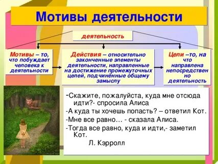 Человек и его деятельность 6 класс презентация