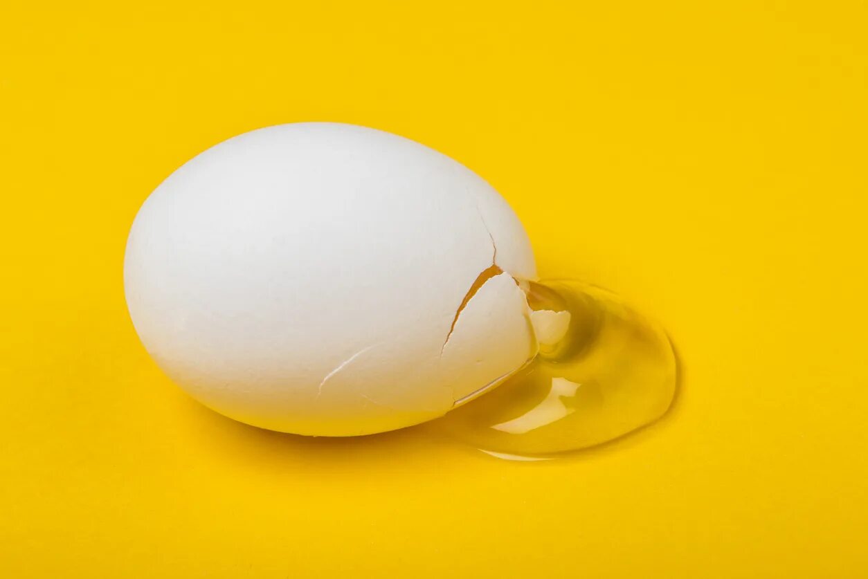 It is the egg