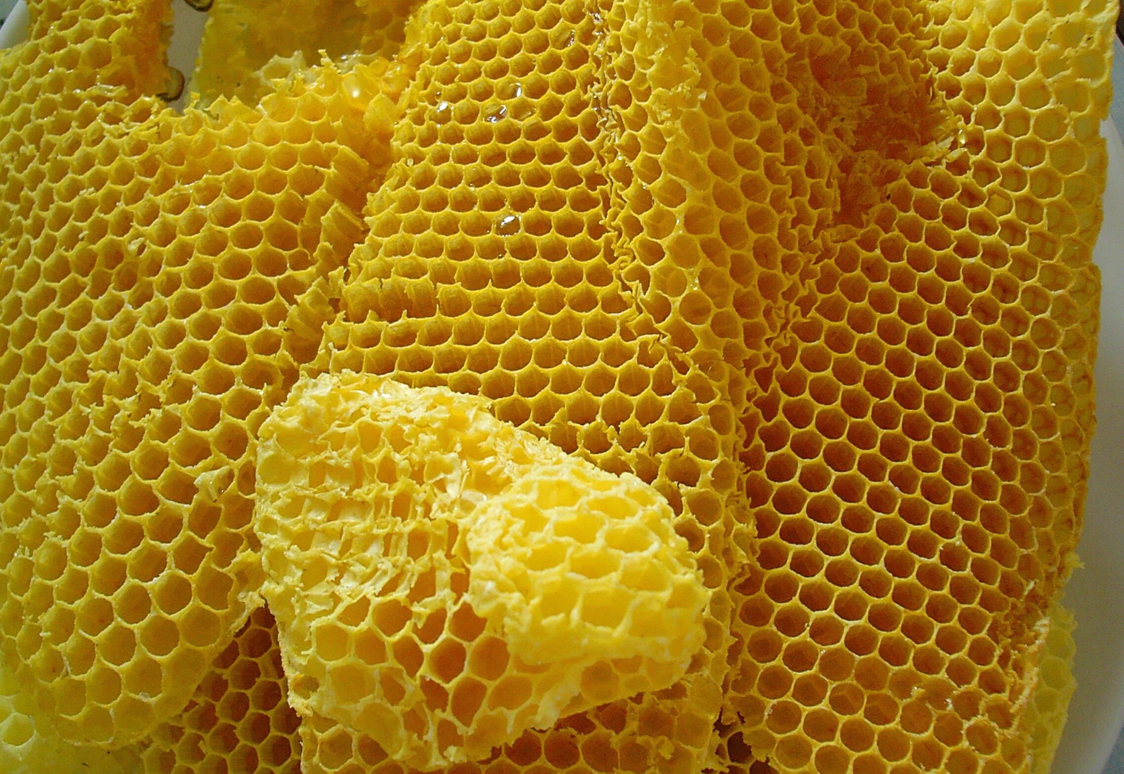 Медовая вощина. Пчелиный воск. Соты пчелиные. Пчелиный воск соты.