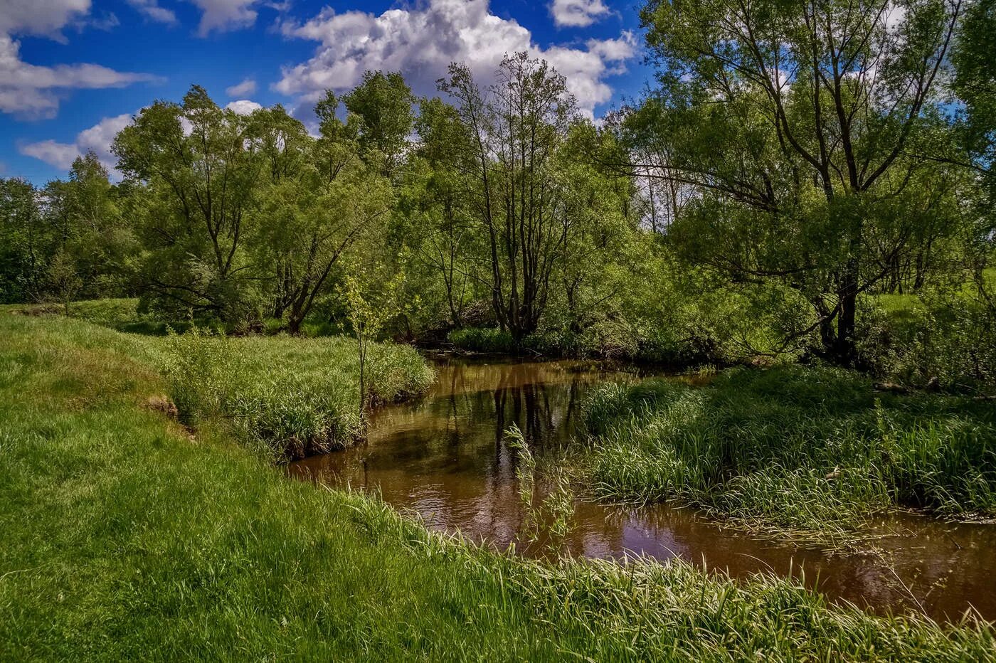 Какая природа в московской области. Река Дрезна Московская область. Река Дрезна и Клязьма. Речка в Дрезне. Река Клязьма лето.